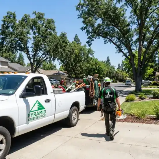 George Salinas Tree Service truck arriving at a Stockton residential job