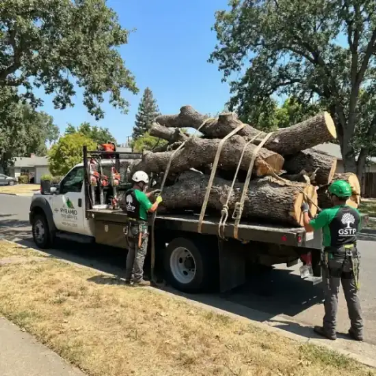 Tree service truck loaded with branches after a Stockton job
